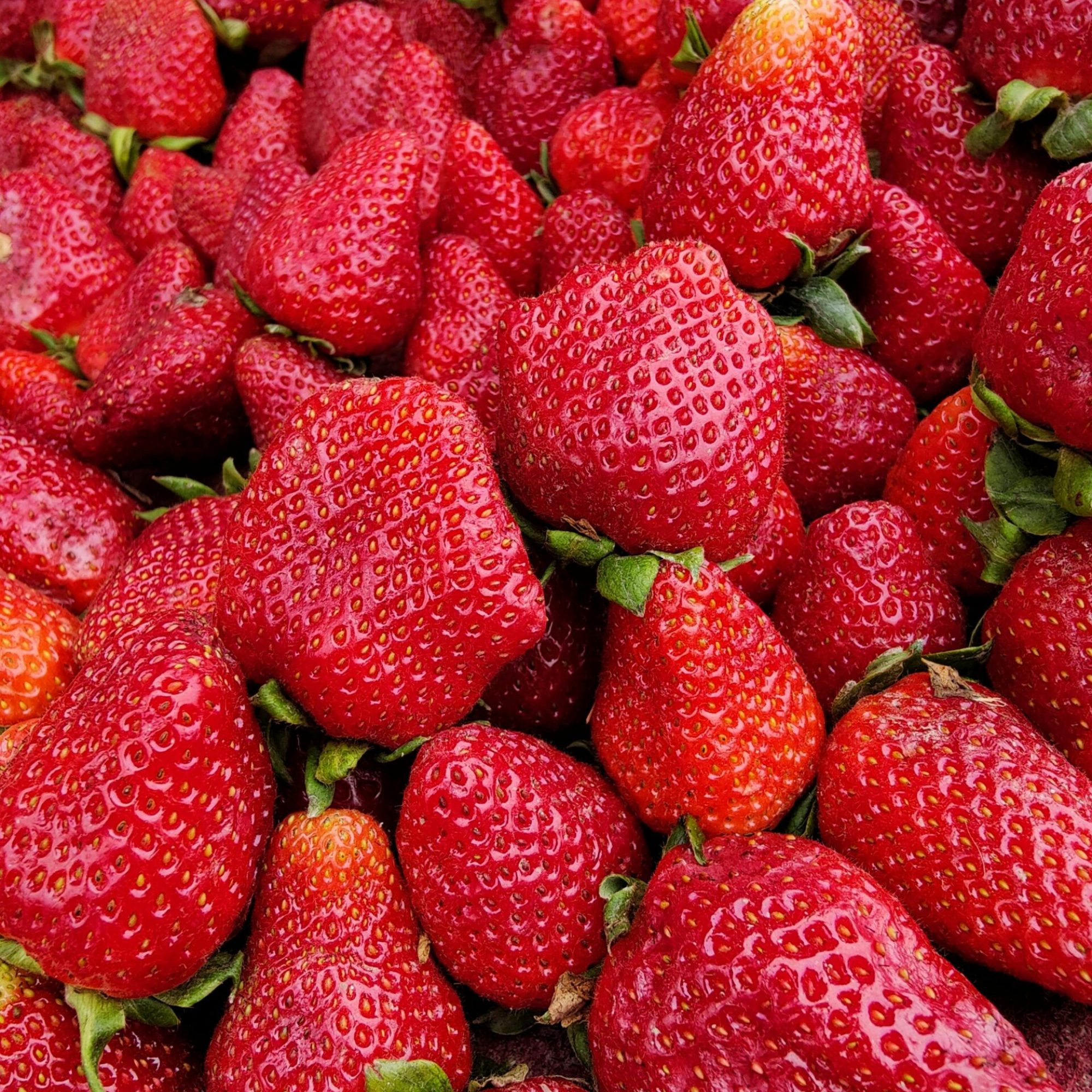 A close-up of vibrant red strawberries piled together, showcasing texture and freshness.